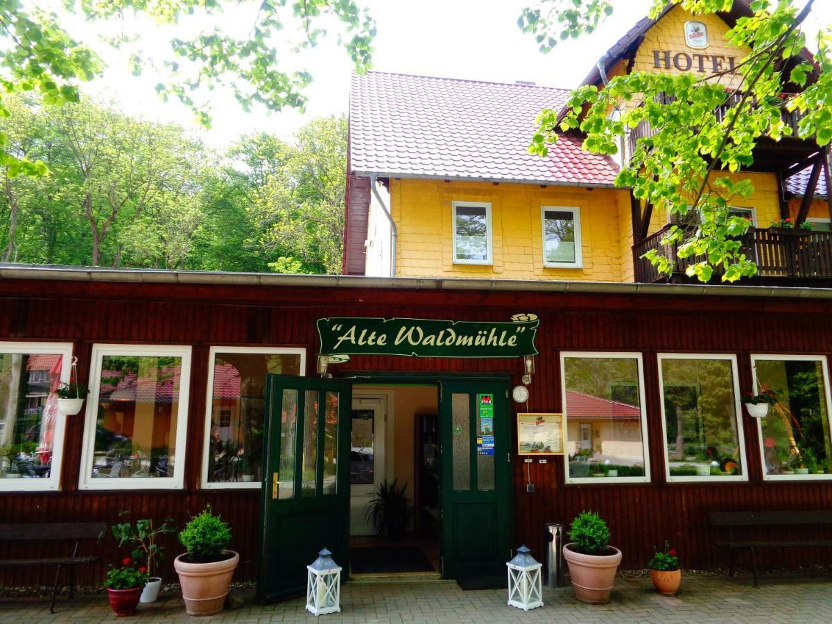 Alte Waldmuhle Holiday park