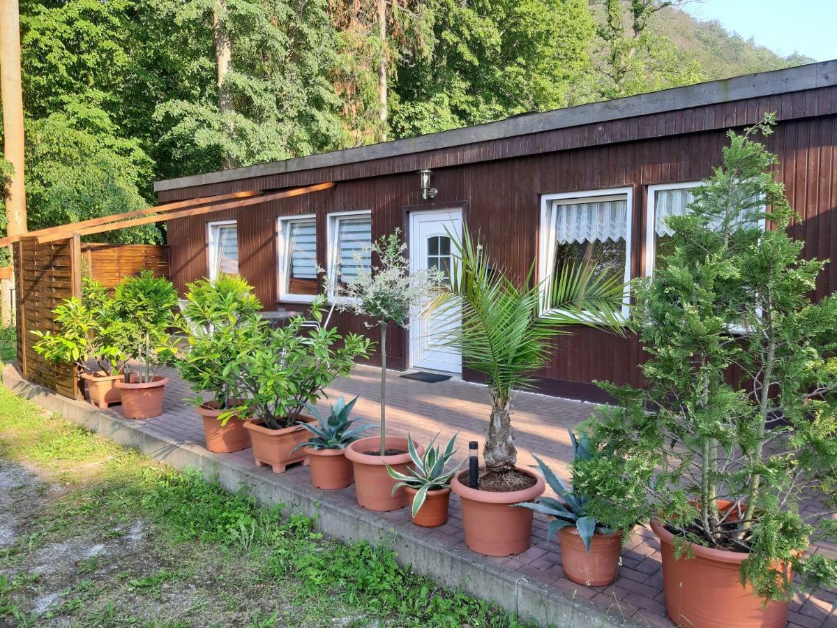 Alte Waldmuhle Holiday park 3*